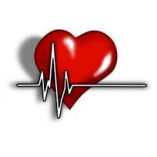 Cardiovascular Health / Circulation