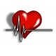 Cardiovascular Health / Circulation